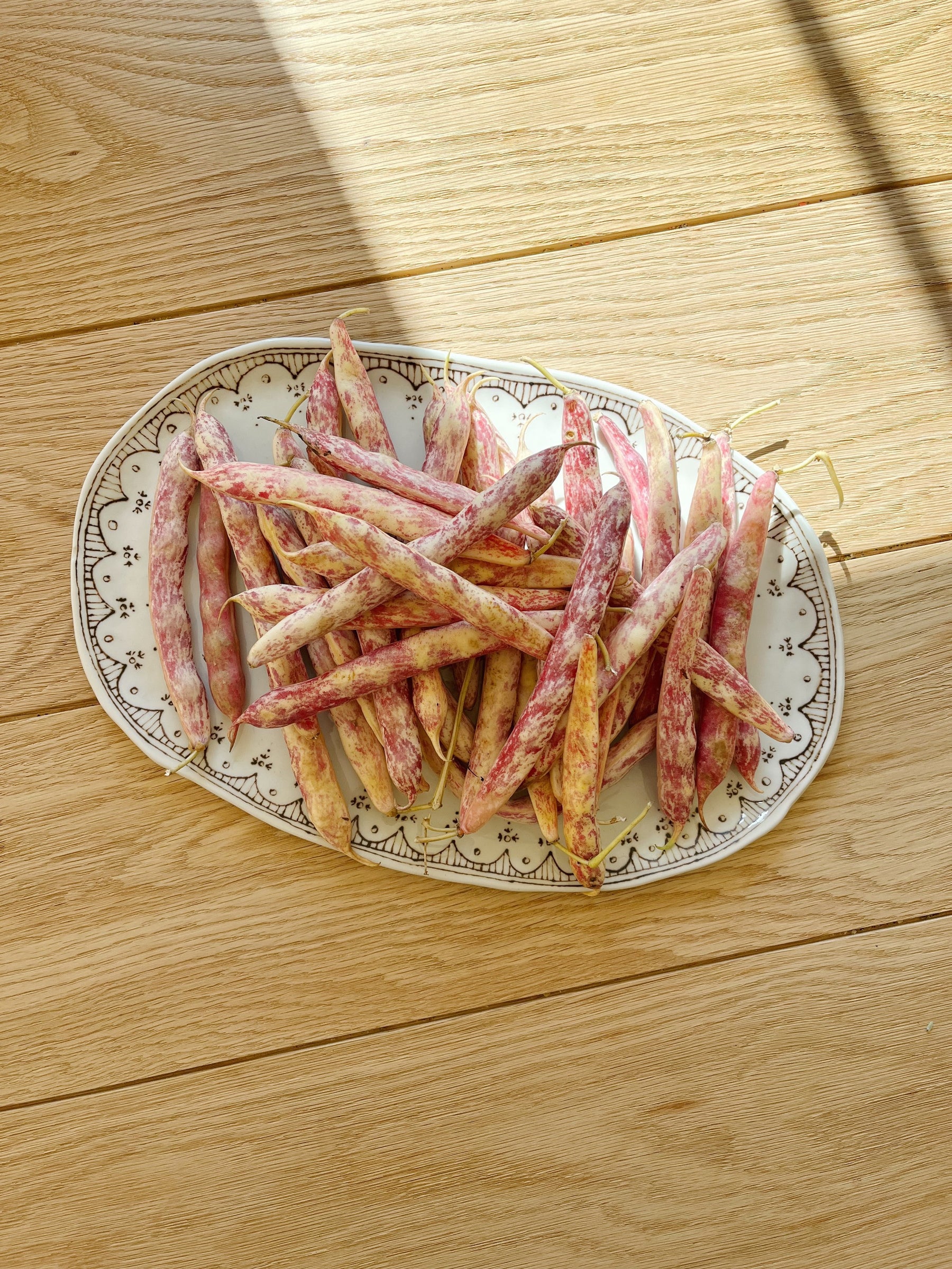 Harvest Moon Platter by Stephanie Dawn Matthias