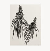 Botanical Art Print by Wilde House Paper | H. SMITH