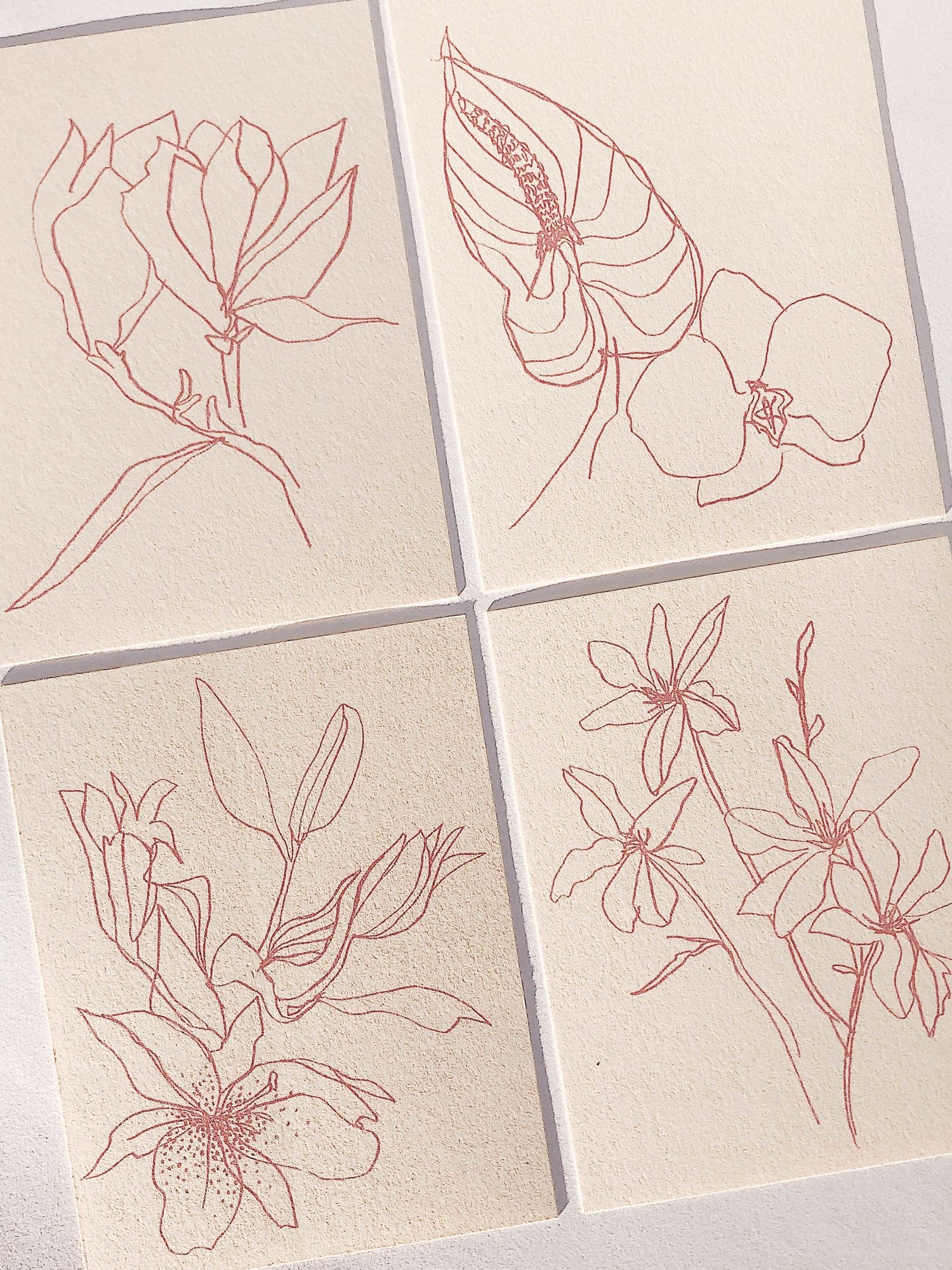 Flora Card Set by Wilde House Paper