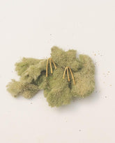 Brass Small Sea Fan Earrings by Moneh Brisel